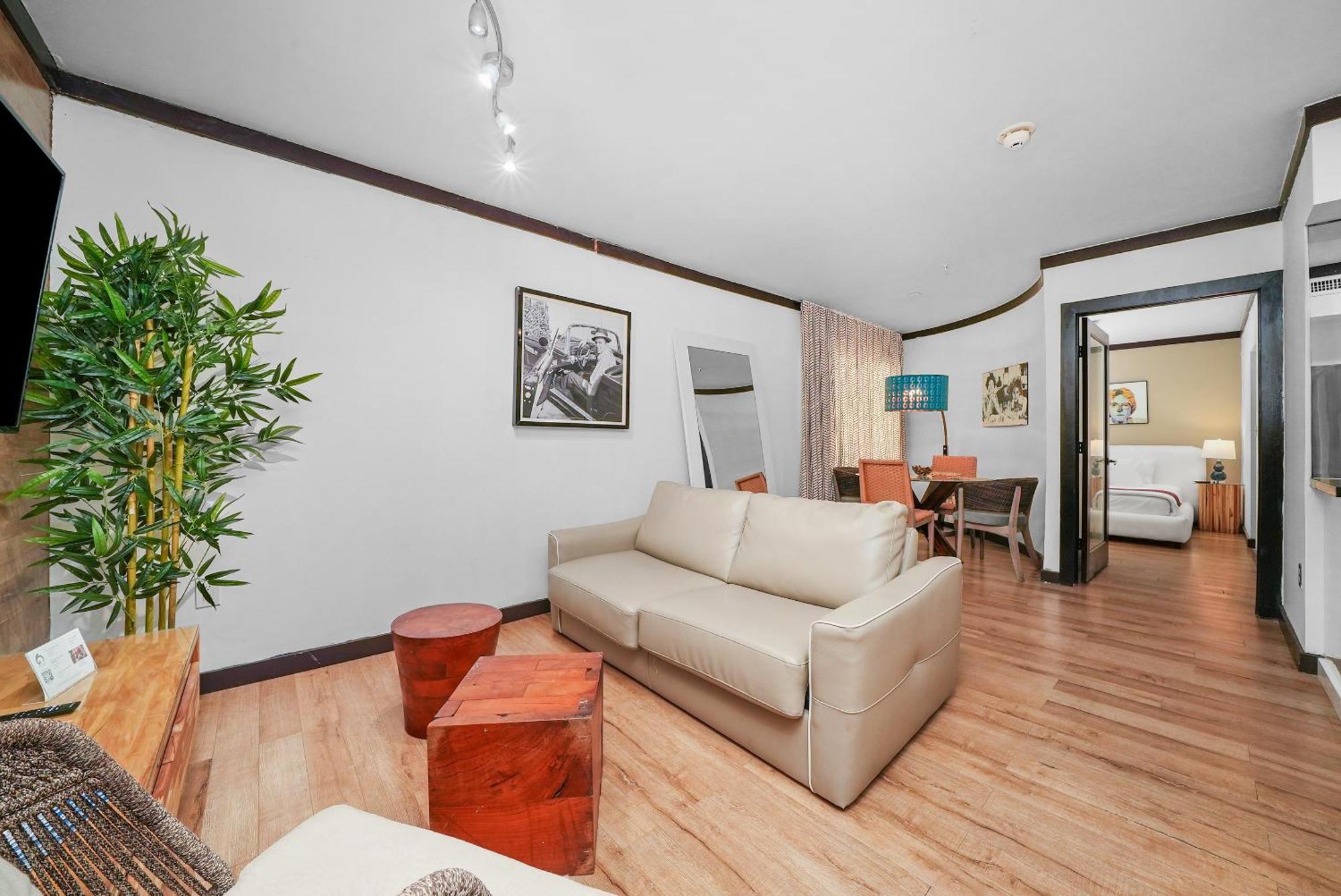 Deluxe One Bedroom King Suite