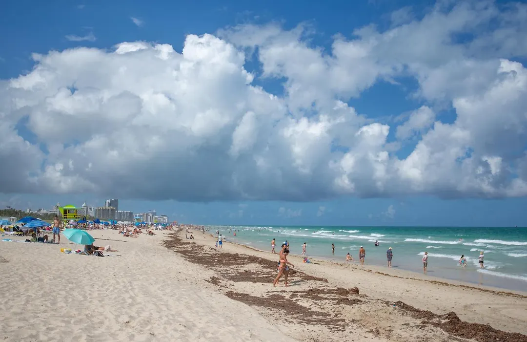 Ocean Drive Apartments-1