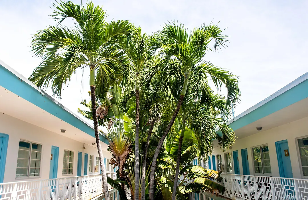 Aqua Hotel & Suites-1