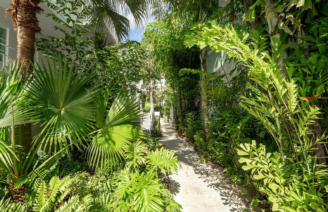 Praia Hotel Boutique & Apartments Miami Beach-1